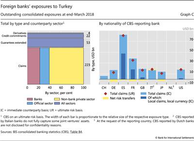 Foreign banks' exposures to Turkey