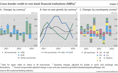 Cross-border credit to non-bank financial institutions (NBFIs)