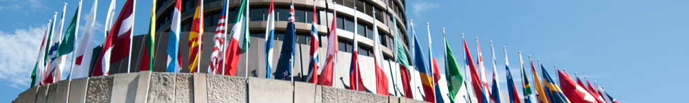 Flags outside the BIS