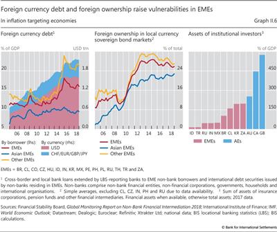 Foreign currency debt and foreign ownership raise vulnerabilities in EMEs