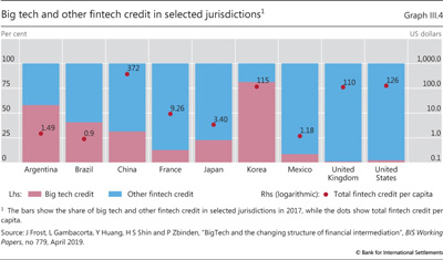 Big tech and other fintech credit in selected jurisdictions