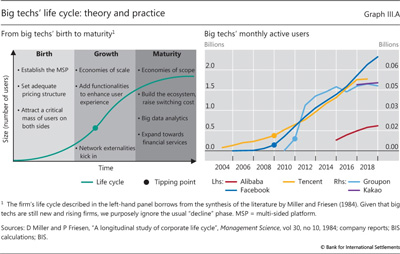 Big techs' life cycle: theory and practice