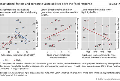Institutional factors and corporate vulnerabilities drive the fiscal response