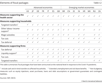 Elements of fiscal packages