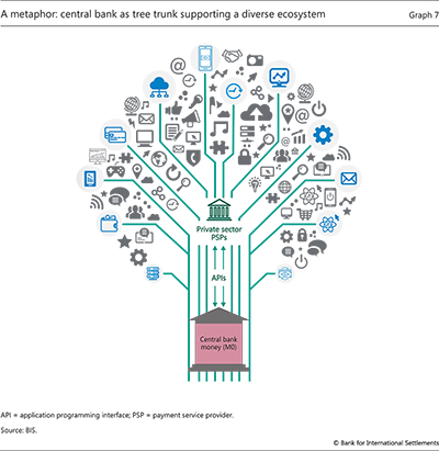A metaphor: central bank as tree trunk supporting a diverse ecosystem