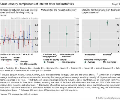 Cross-country 
comparisons of interest rates and maturities