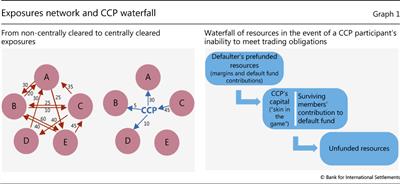 Exposures network and CCP waterfall