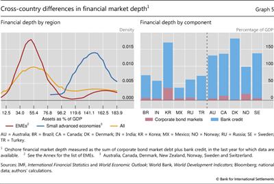 Cross-country differences in financial market depth