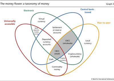 The money flower: a taxonomy of money