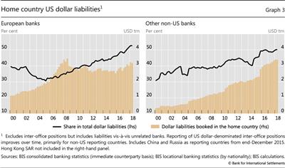 Home country US dollar liabilities