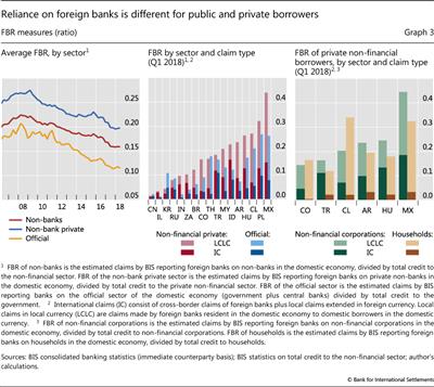 Reliance on foreign banks is different for public and private borrowers