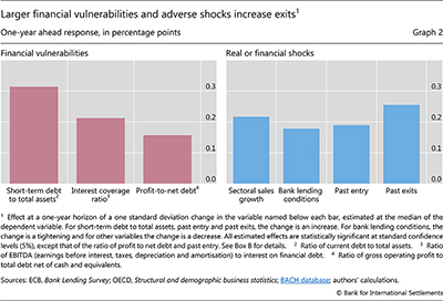 Larger financial vulnerabilities and adverse shocks increase exits
