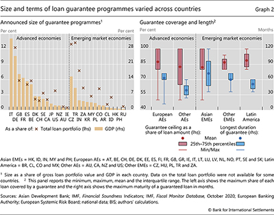 Size and terms of loan guarantee programmes varied across countries