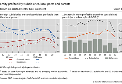 Entity profitability: subsidiaries, local peers and parents
