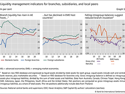 Liquidity management indicators for branches, subsidiaries, and local peers