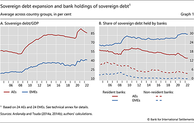 Sovereign debt expansion and bank holdings of sovereign debt
