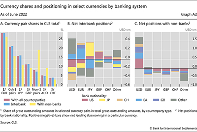 Currency shares and positioning in select currencies by banking system