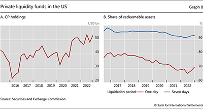 Private liquidity funds in the US