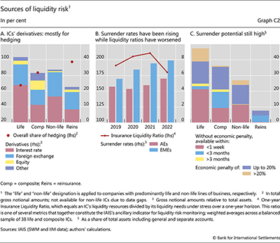Sources of liquidity risk