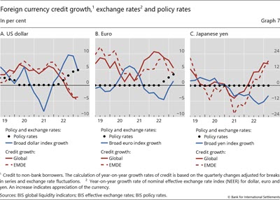 Foreign currency credit growth, exchange rates and policy rates