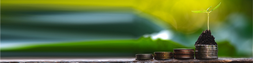 Sovereigns and sustainable bonds: challenges and new options