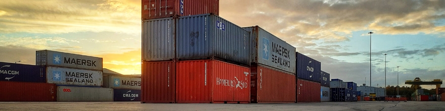 Global supply chain interdependence and shock amplification - evidence from Covid lockdowns