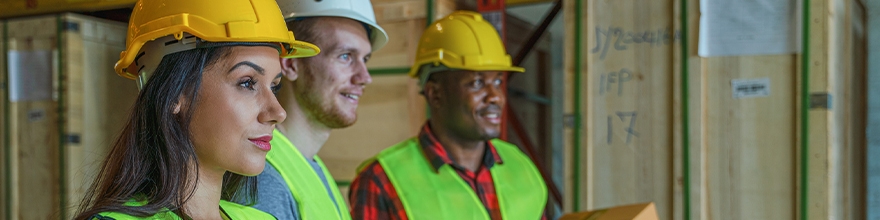 Labour markets: what explains the resilience? 