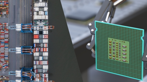 Port and microchip