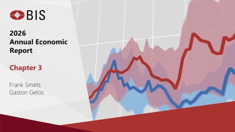 BIS Media Briefing - Anchoring trust in money: innovation beyond stablecoins