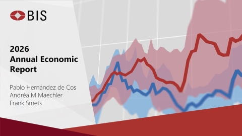 BIS Media Briefing - Annual Economic Report 2026