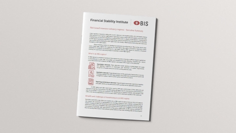 Book cover for FSI executive summaries