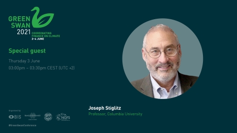 greenswan_stiglitz.jpg