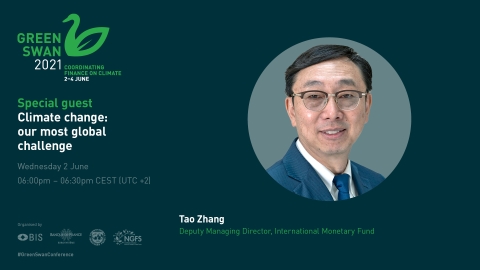 greenswan_zhang.jpg