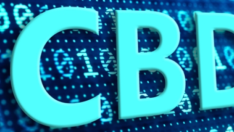 III. CBDCs: an opportunity for the monetary system