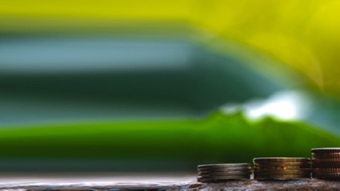 Sovereigns and sustainable bonds: challenges and new options