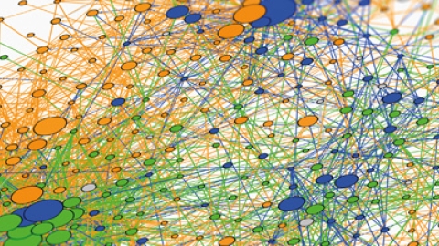 Perceptions of risk and policy outlook drive markets