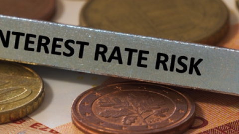 Interest rate risk management by EME banks