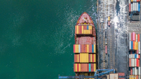 Deconstructing global trade: the role of geopolitical alignment