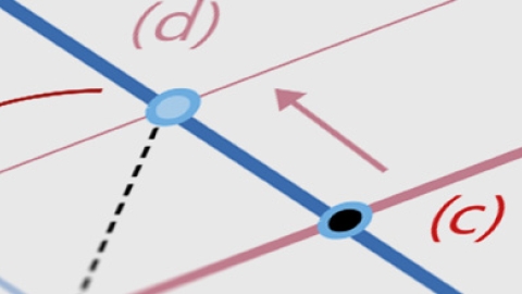 Investor optimism prevails over uncertainty