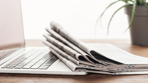 Laptop, plant and stack of newspapers on wooden tabletop
