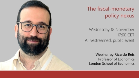 The fiscal-monetary policy nexus