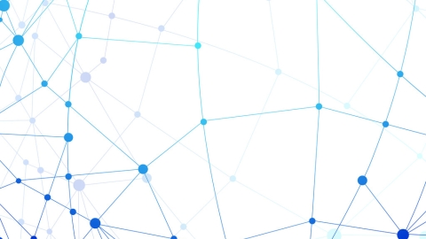 Network concept