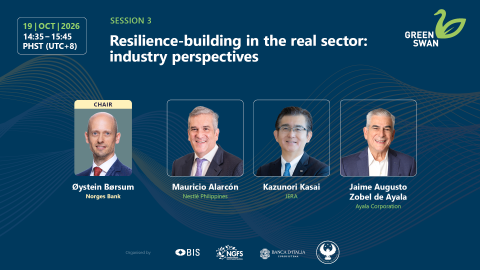 Session 3: Resilience-building in the real sector: industry perspectives