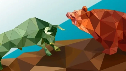 Bull and bear